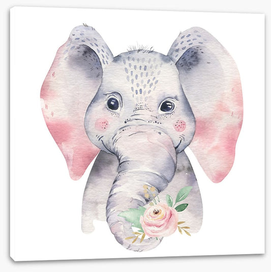 Elephants