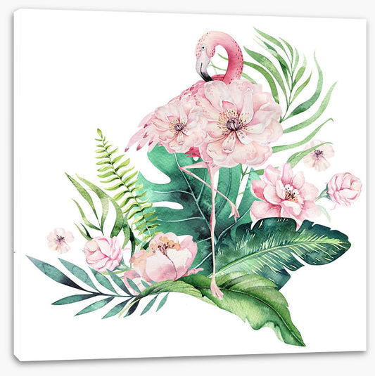 Spring in your step 2