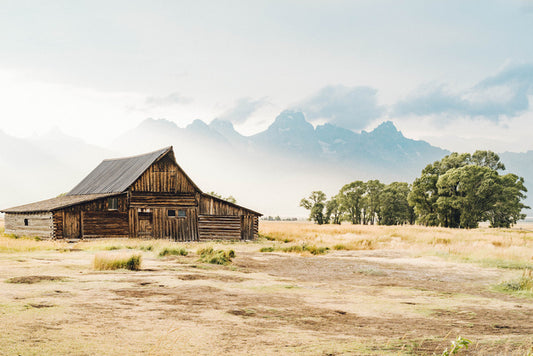 Beyond the barn