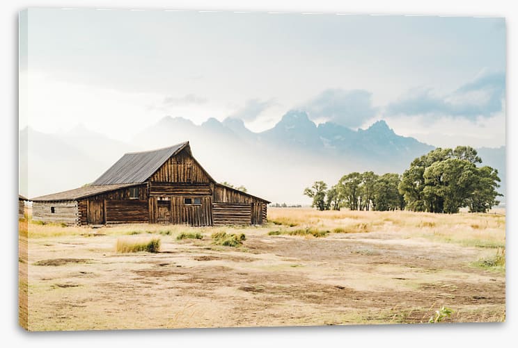 Beyond the barn
