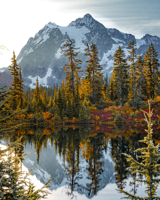 Peaks and pine
