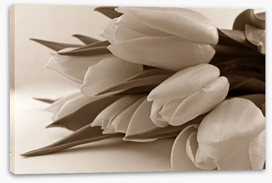 The time of tulips