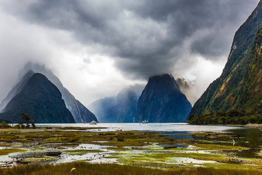 New Zealand