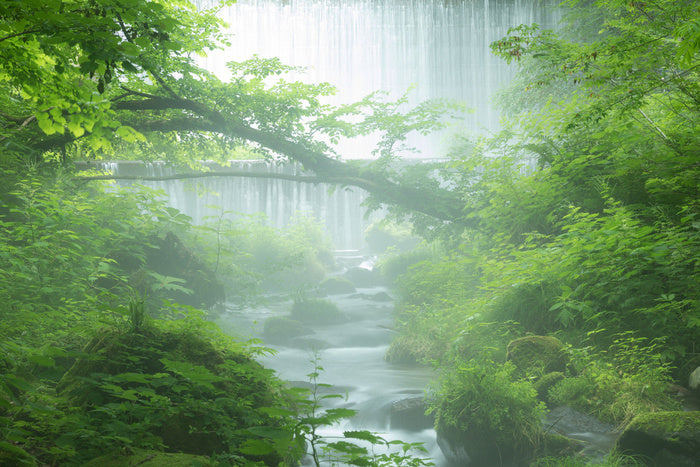 Rivers