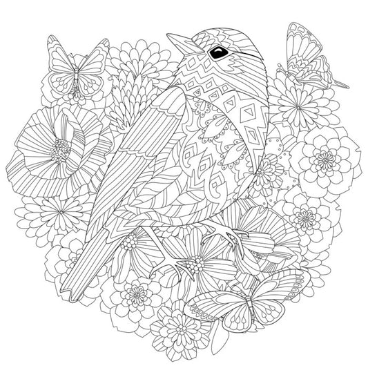 Colour me pretty bird