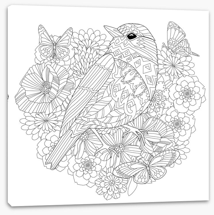Colour me pretty bird