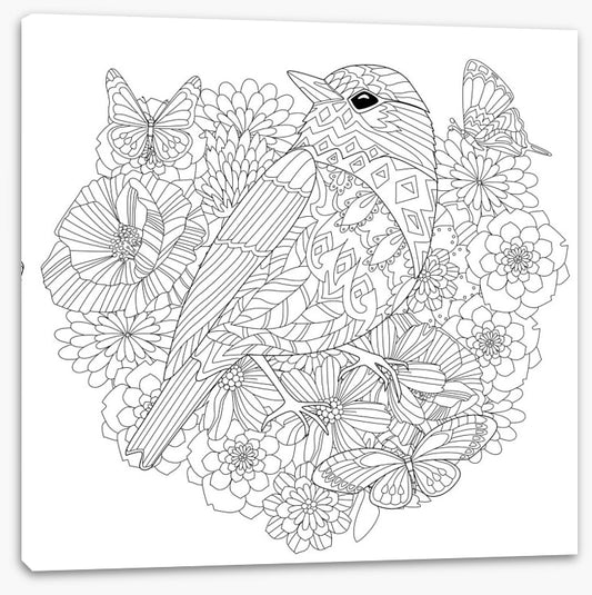 Colour me pretty bird