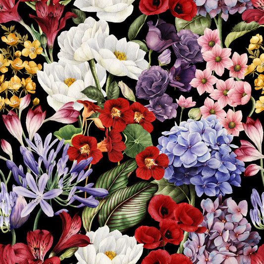 In full bloom