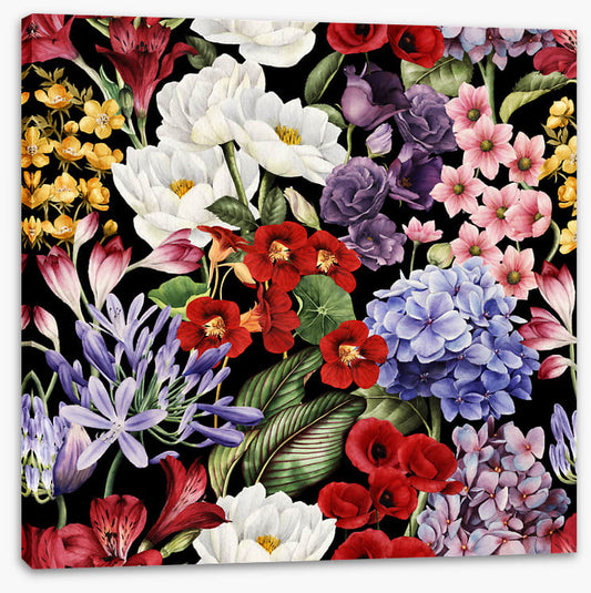 In full bloom
