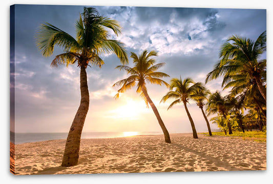 Coconut sunrise
