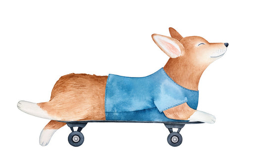 Sleepy skater