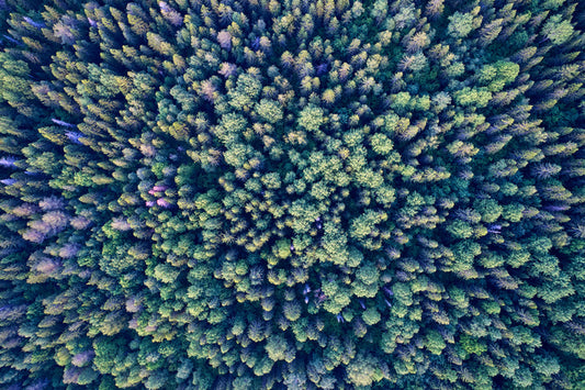 Abstract