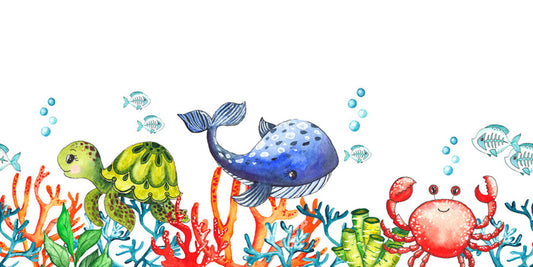 Coral congregation