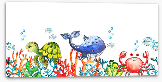 Coral congregation