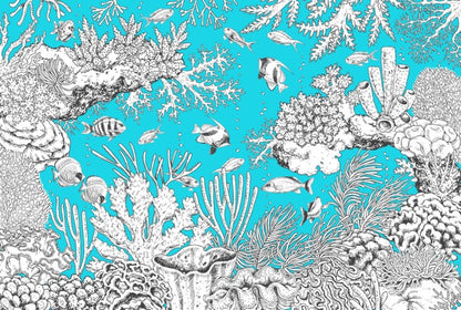 In the aqua sea
