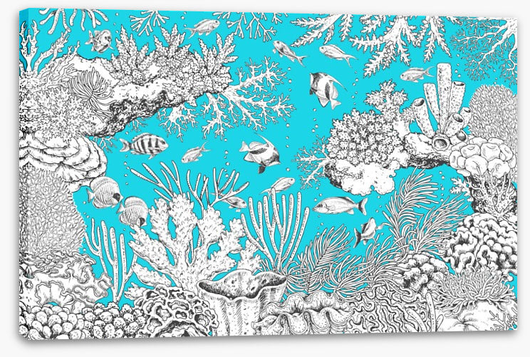 In the aqua sea