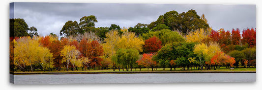 Cloudy autumn panorama