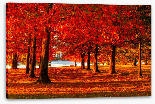 Nara Peace Park autumn