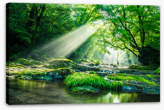 Streaming sunbeam