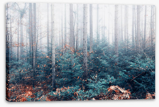 Blowing in the mist