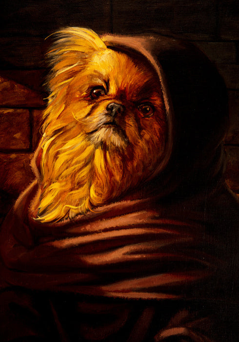 Shih Tzu in disguise