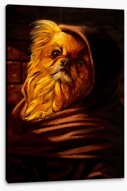 Shih Tzu in disguise