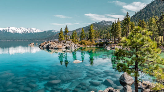 Lake Tahoe cove