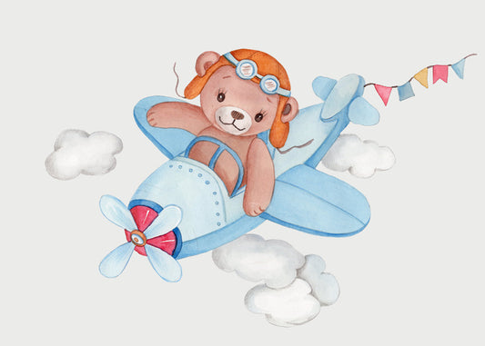 Teddy bear pilot
