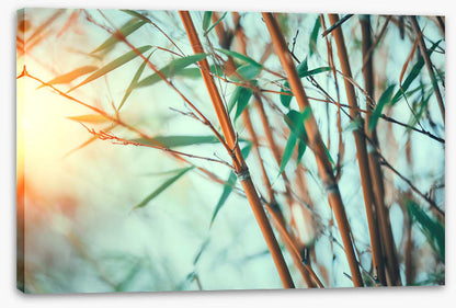 Bamboo breeze
