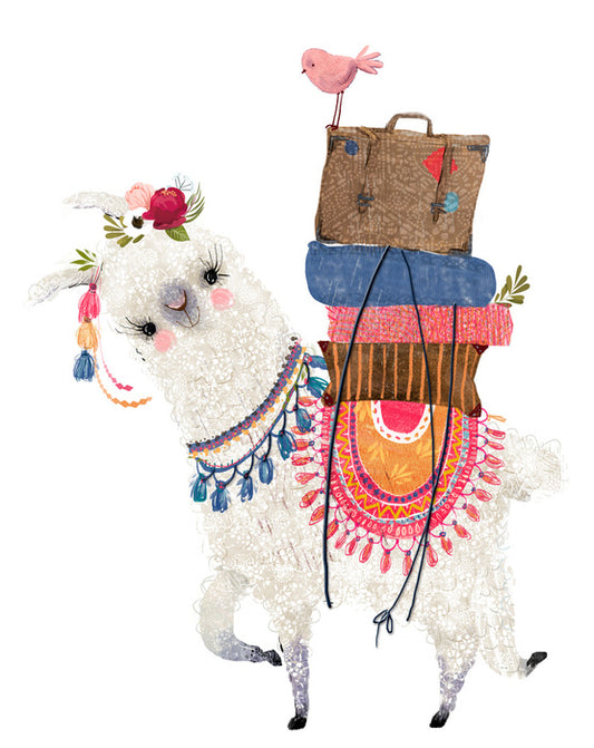 Alpaca packed