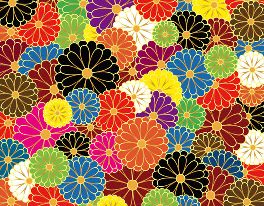 Chrysanthemum craze