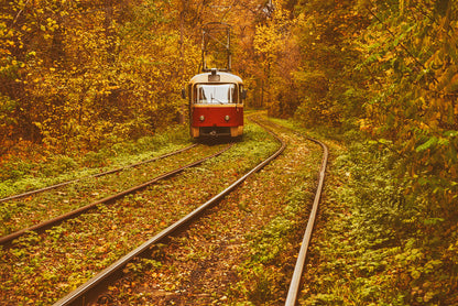 Transportation