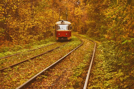 Transportation