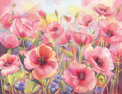 Pink poppy sunshine