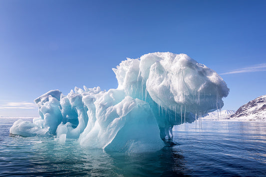 Tip of the iceberg