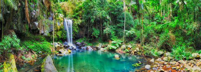 Mt Tamborine cascade