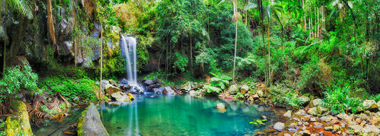 Mt Tamborine cascade