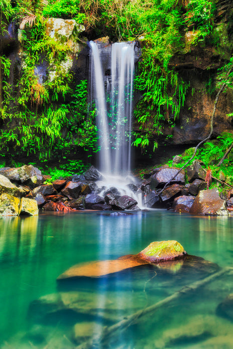 Tamborine falls