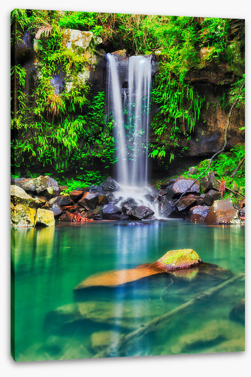Tamborine falls
