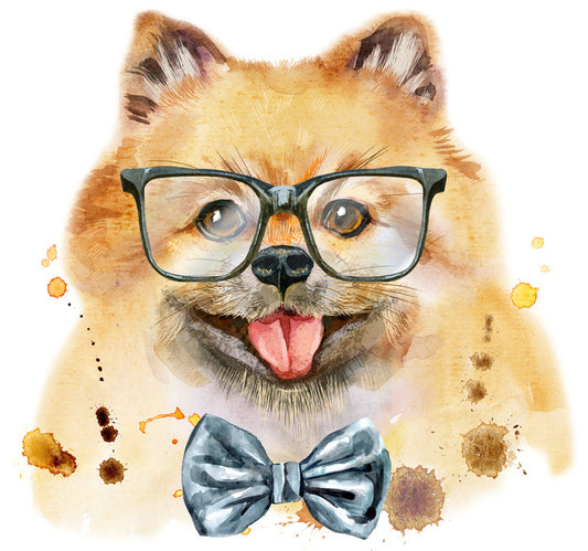 Mr Spitz