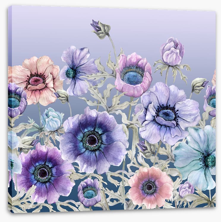 Awakening anemone