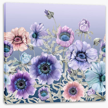 Awakening anemone