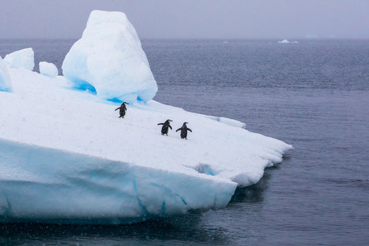 Glaciers