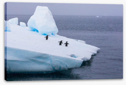 Glaciers