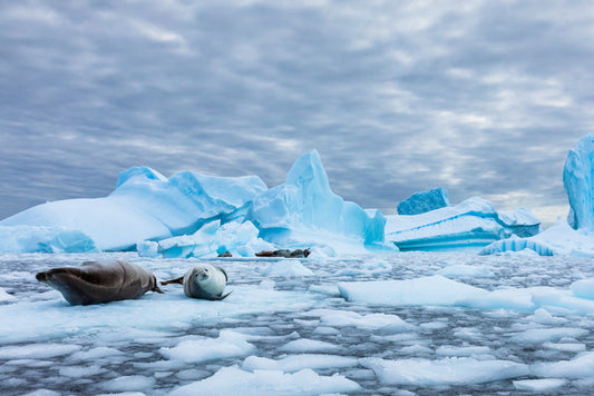 Glaciers