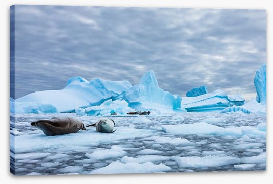 Glaciers