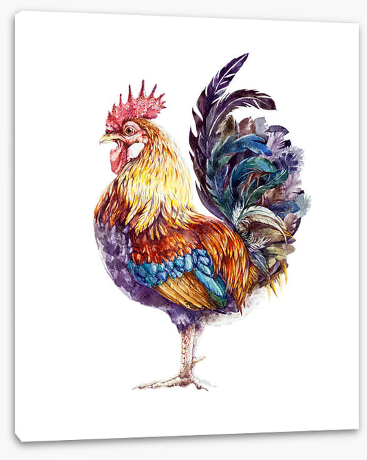 Rooster ruffles