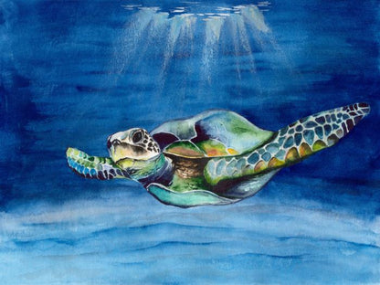 Green sea turtle