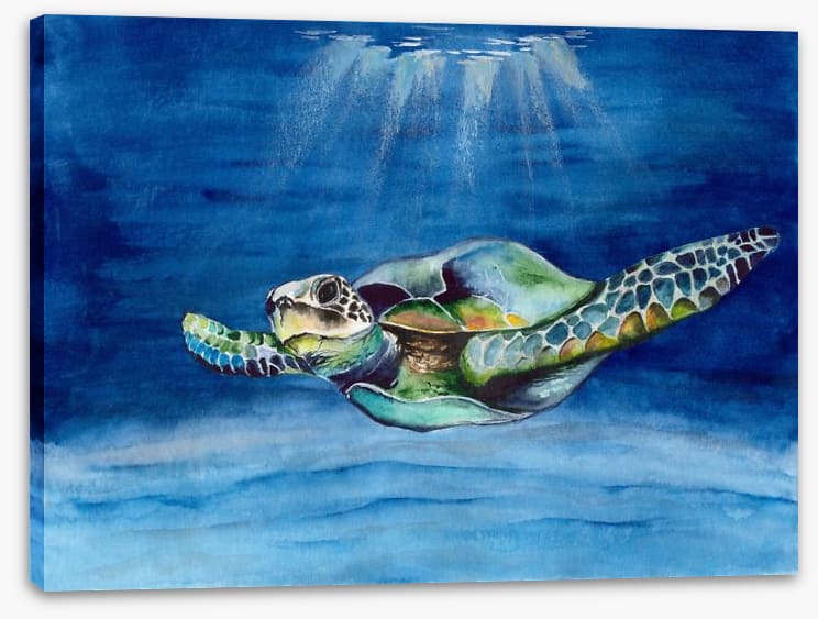 Green sea turtle