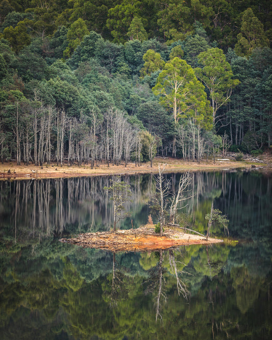 In the forest lake